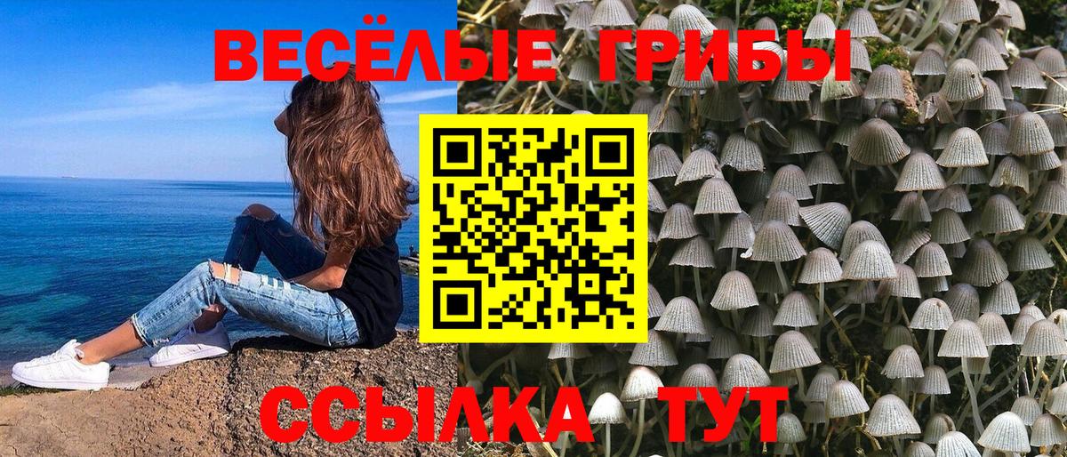 Галлюциногенные грибы ЛСД Обнинск